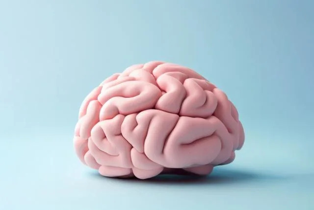 e905dcecbfcaaab9c96f7a75d7c0c51d